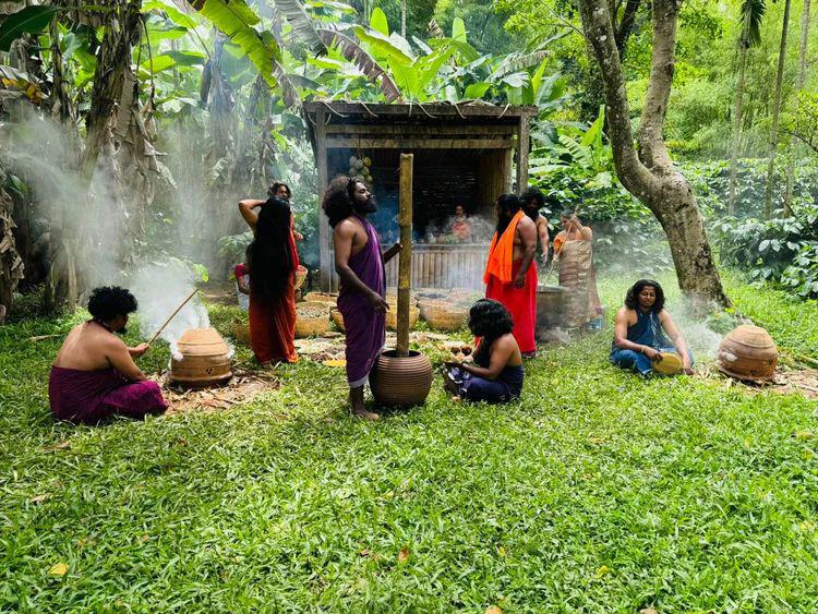 🌱 Original Adivasi Herbal Hair Oil 🪔 (Copy)