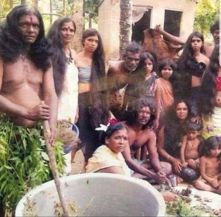 🌱 Original Adivasi Herbal Hair Oil 🪔